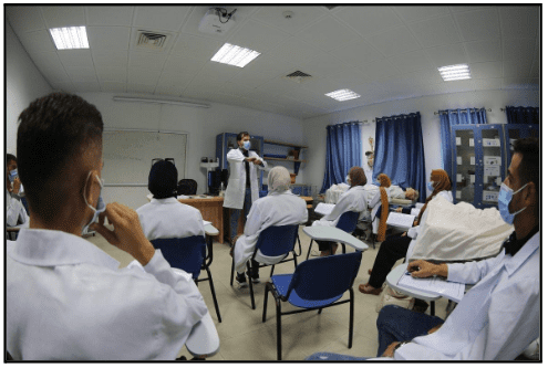 Educational Pathways to a Nursing Career in Florida
